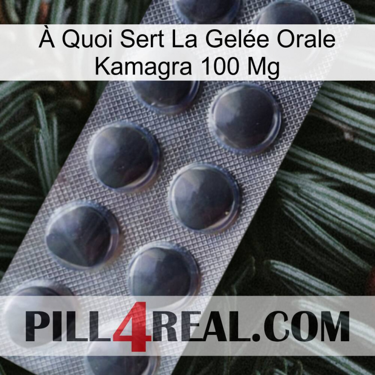 À Quoi Sert La Gelée Orale Kamagra 100 Mg 30